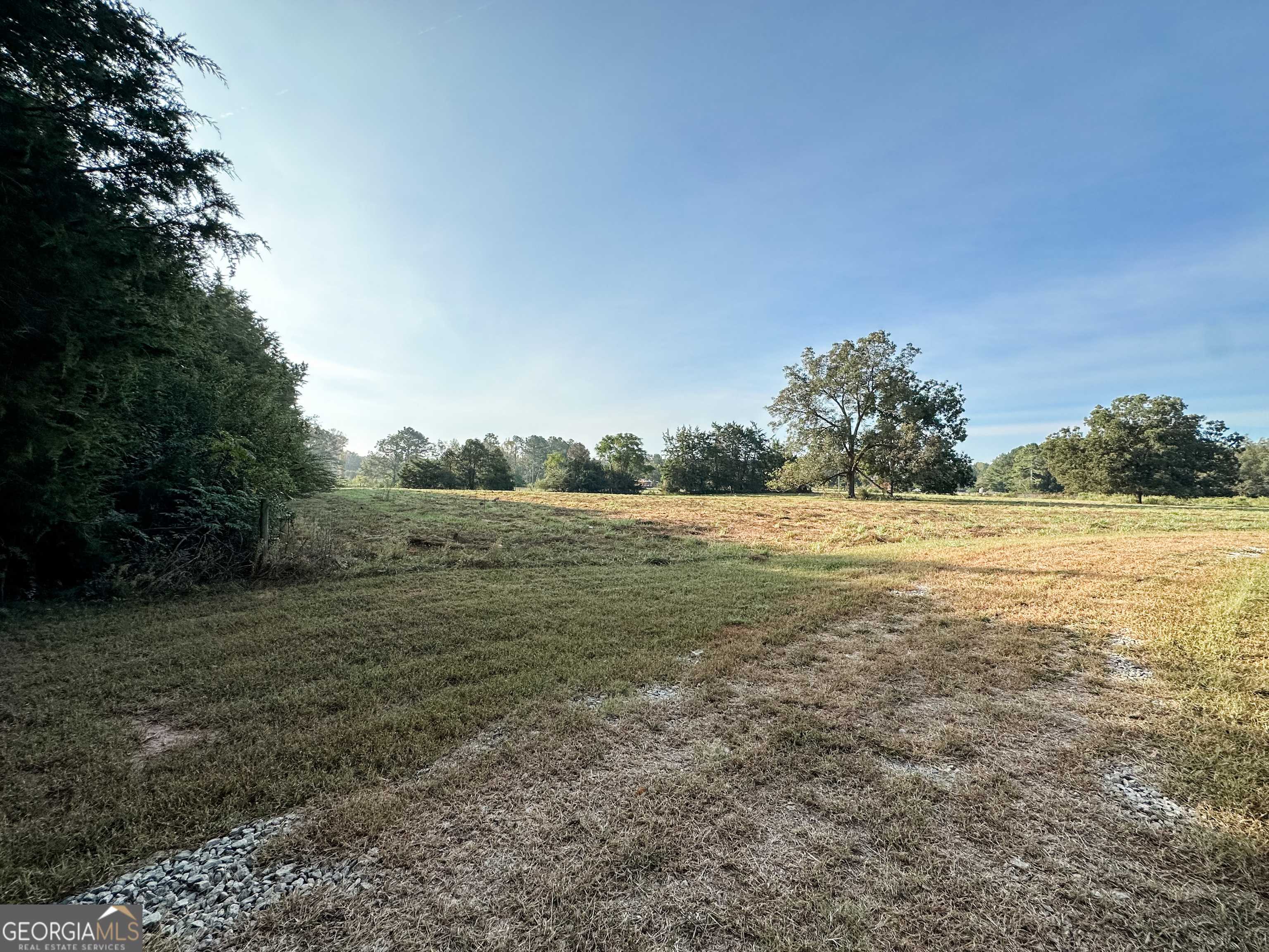 Monticello, GA 31064,2815 Palalto RD #13.98 ACRES