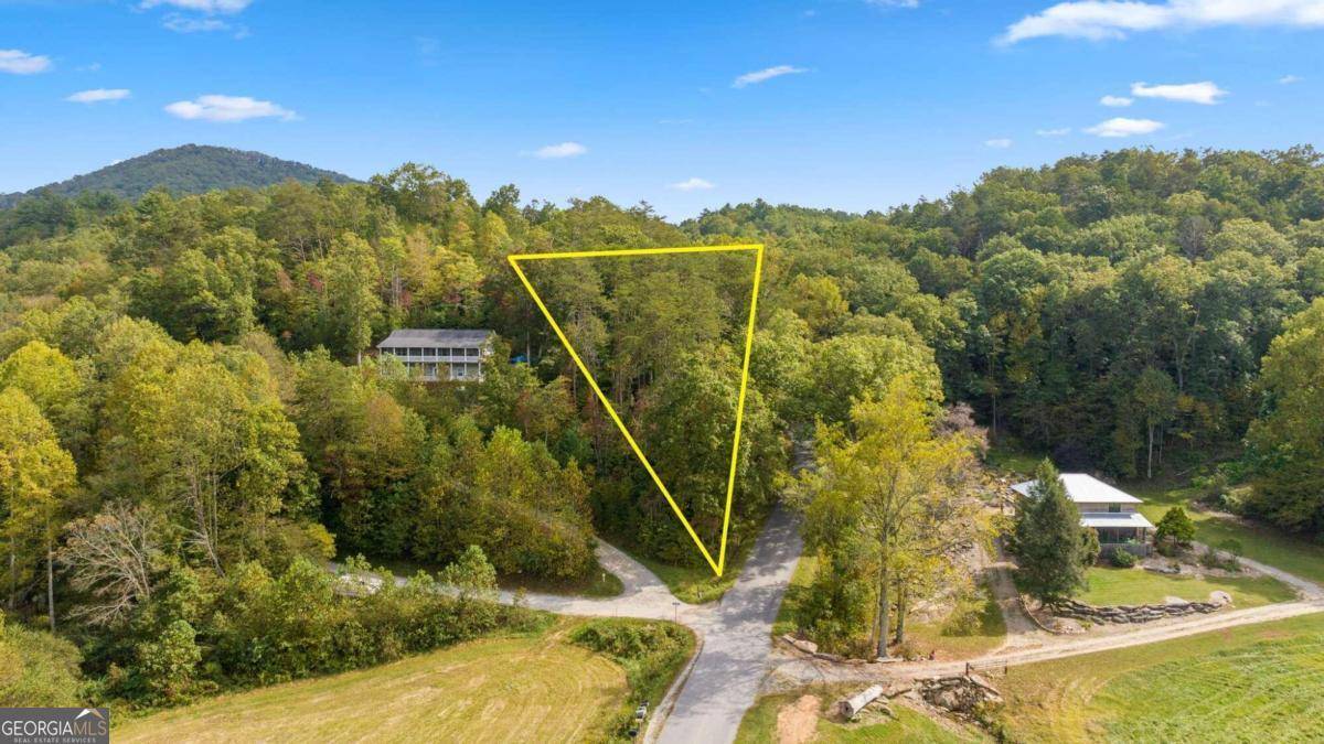 Mineral Bluff, GA 30559,0 Laurel Springs RD