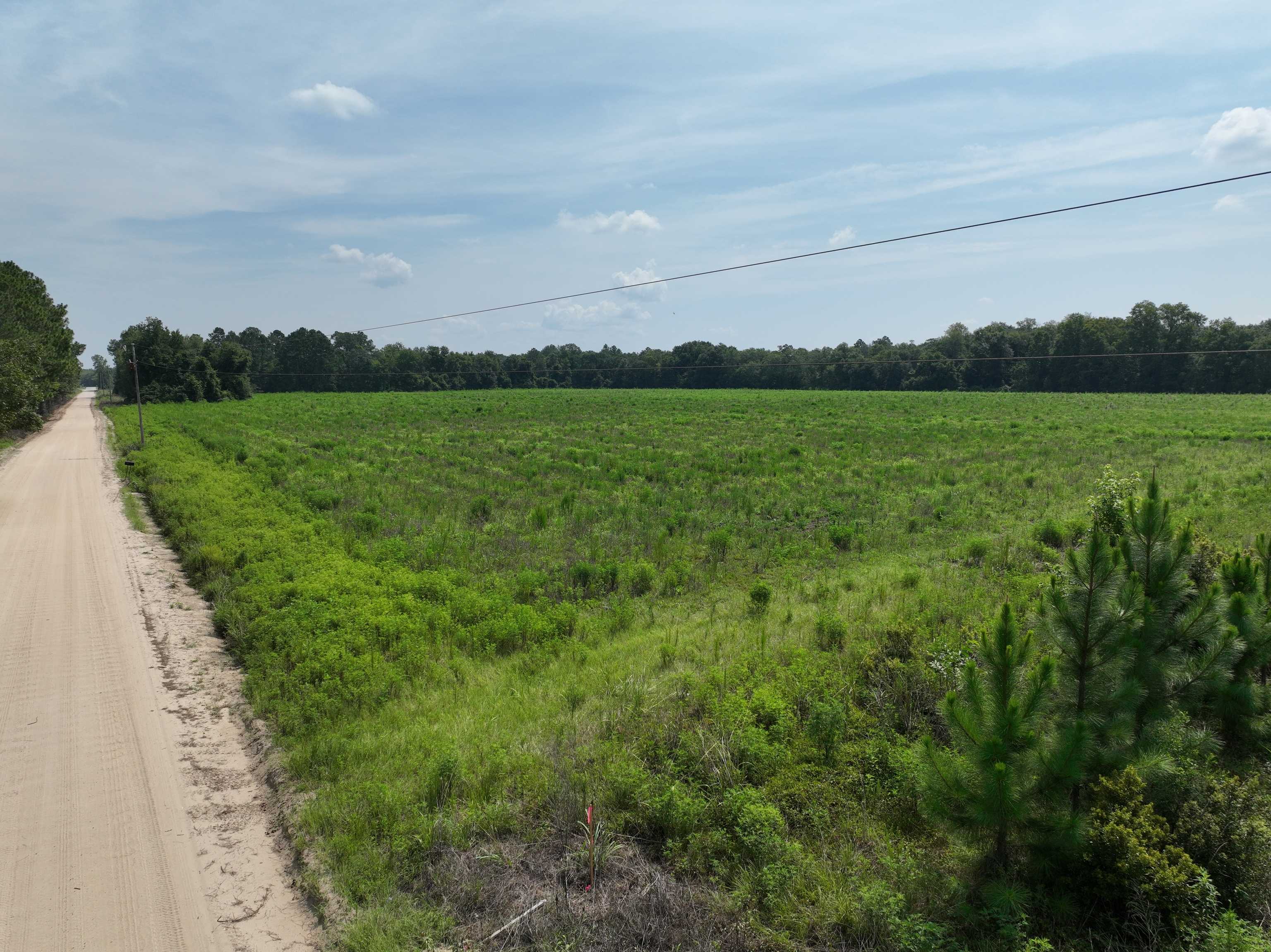 Ludowici, GA 31316,00 Groover RD