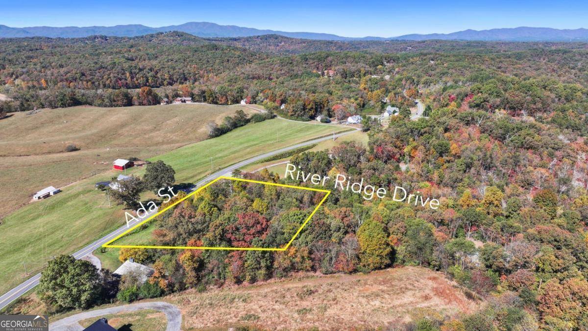 Blue Ridge, GA 30513,LOT 4 River Ridge DR