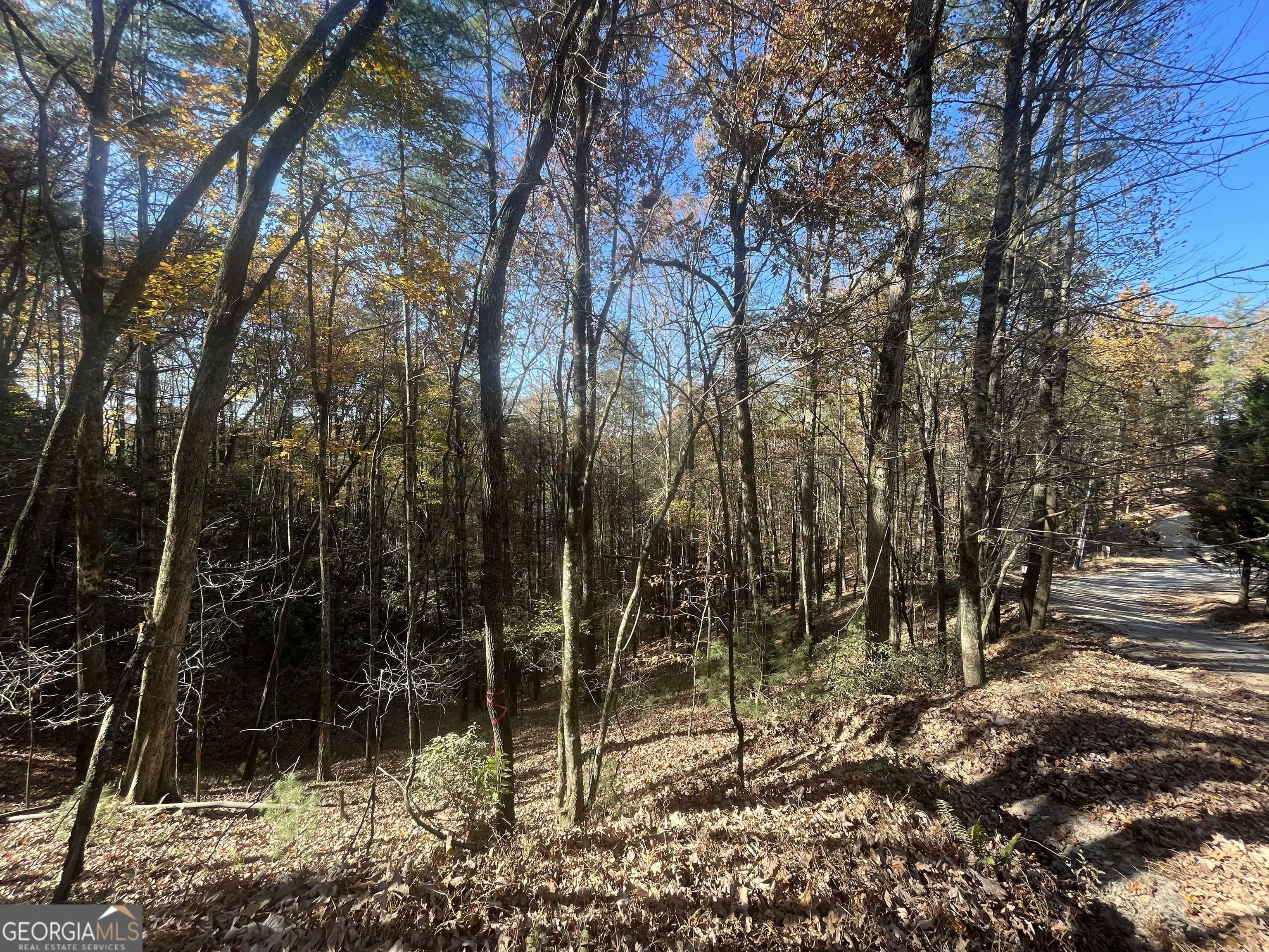 Ellijay, GA 30540,0 River Bend RD