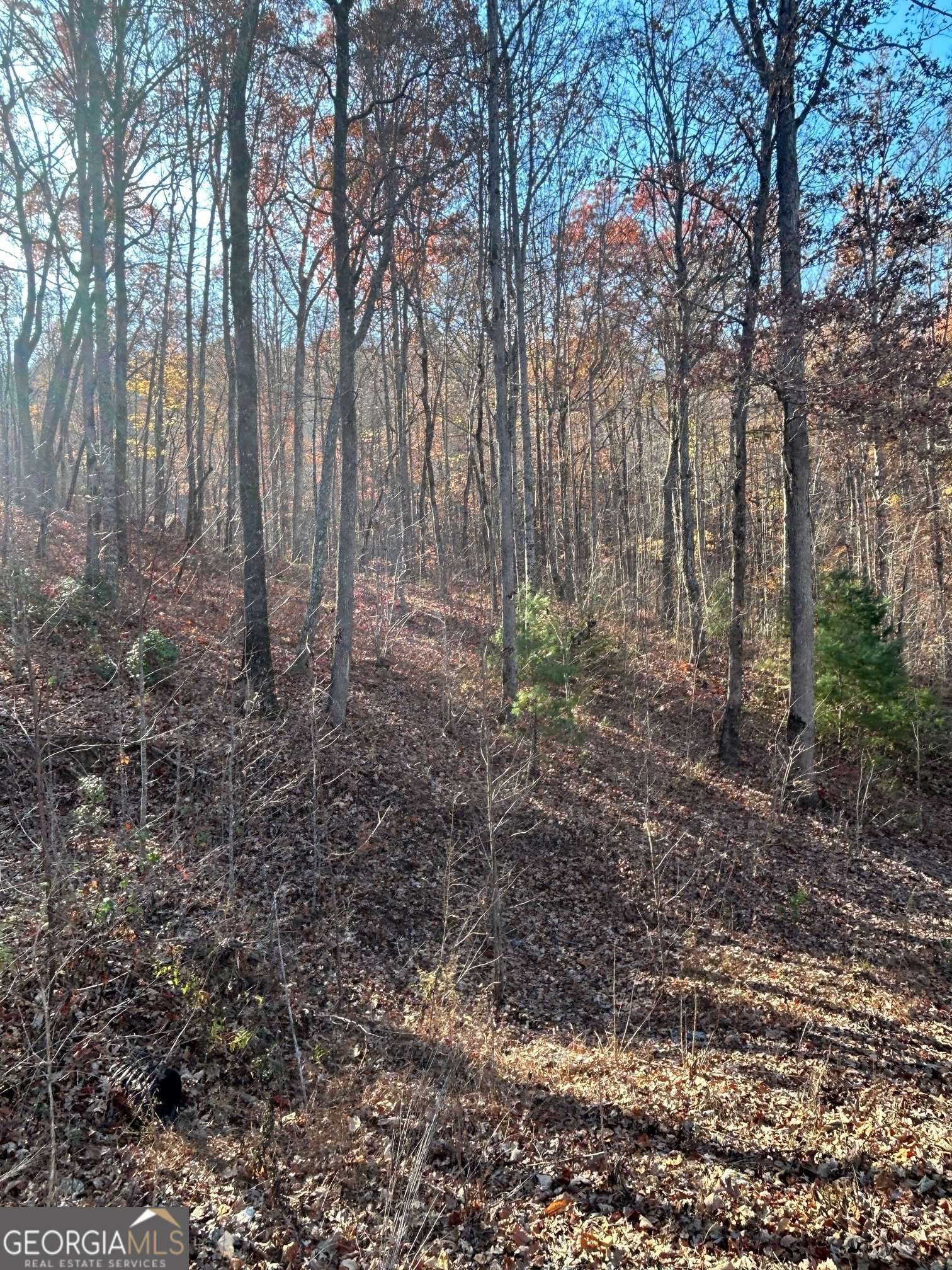 Clayton, GA 30525,0 Bent Grass Way - Lot J55