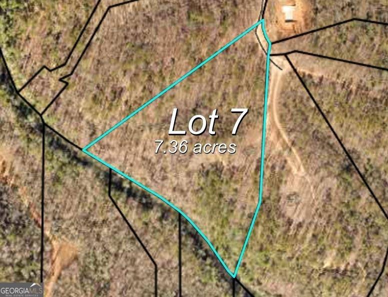 Dahlonega, GA 30533,LOT 7 Etowah River Estates