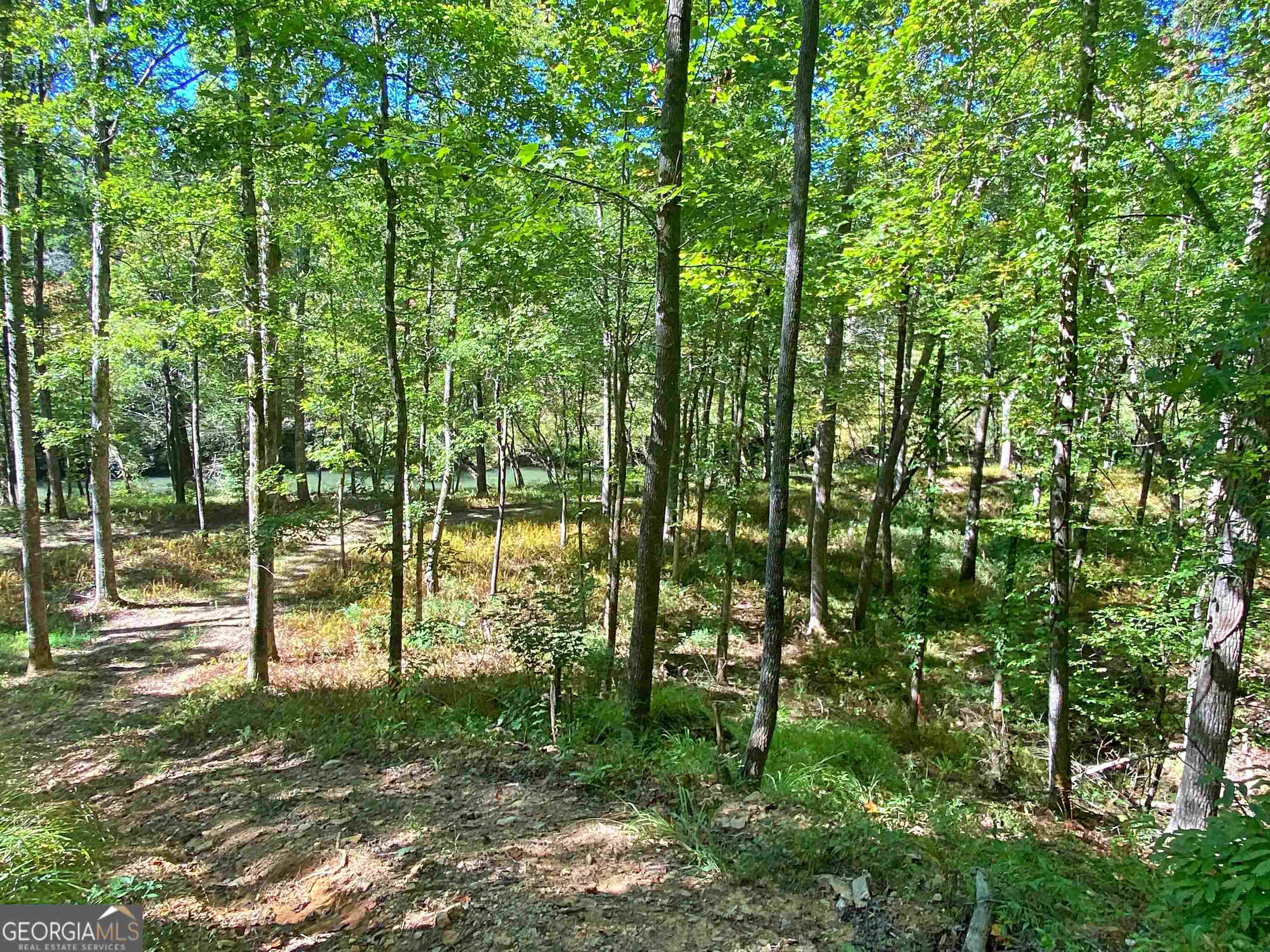 Dahlonega, GA 30533,LOT 7 Etowah River Estates