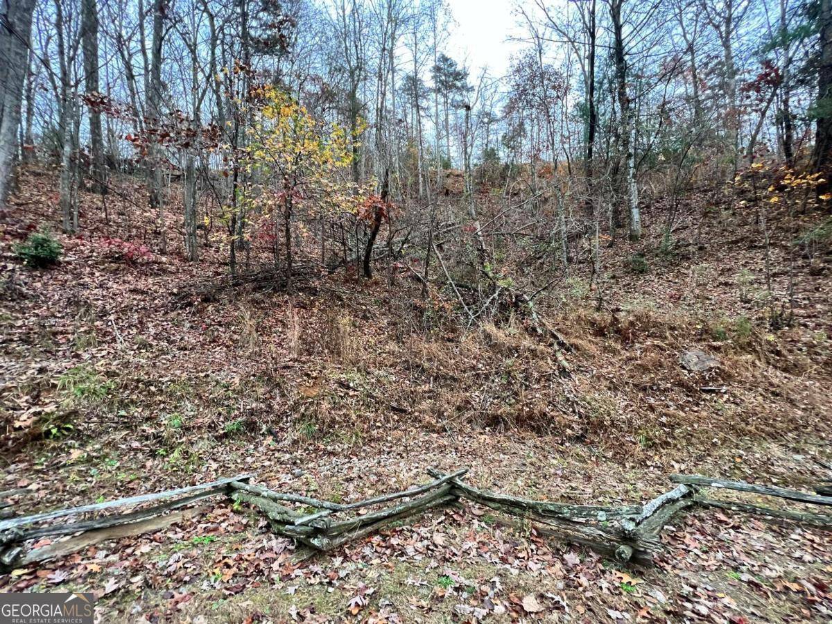 Blue Ridge, GA 30513,LOT 449 Mountain Tops RD