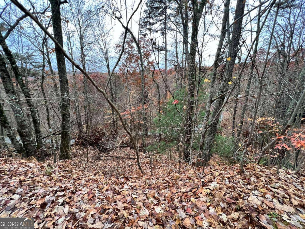 Blue Ridge, GA 30513,LOT 449 Mountain Tops RD