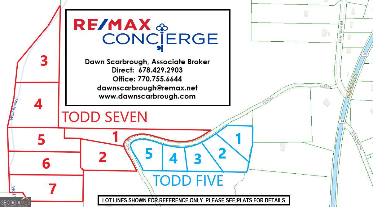 Senoia, GA 30276,LOT 4 Todd Seven #4