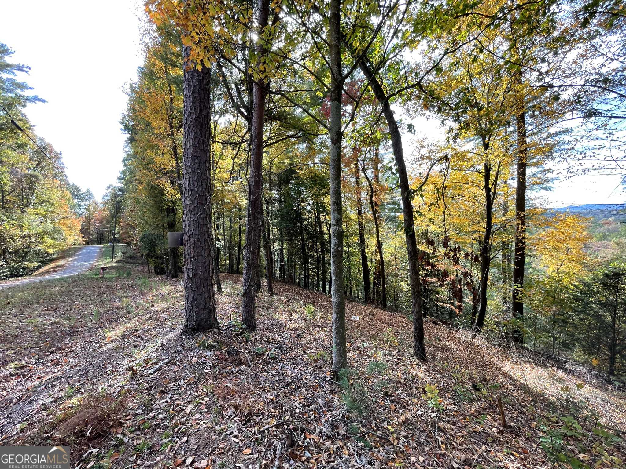 Ellijay, GA 30540,LOT 3791 Indian LN