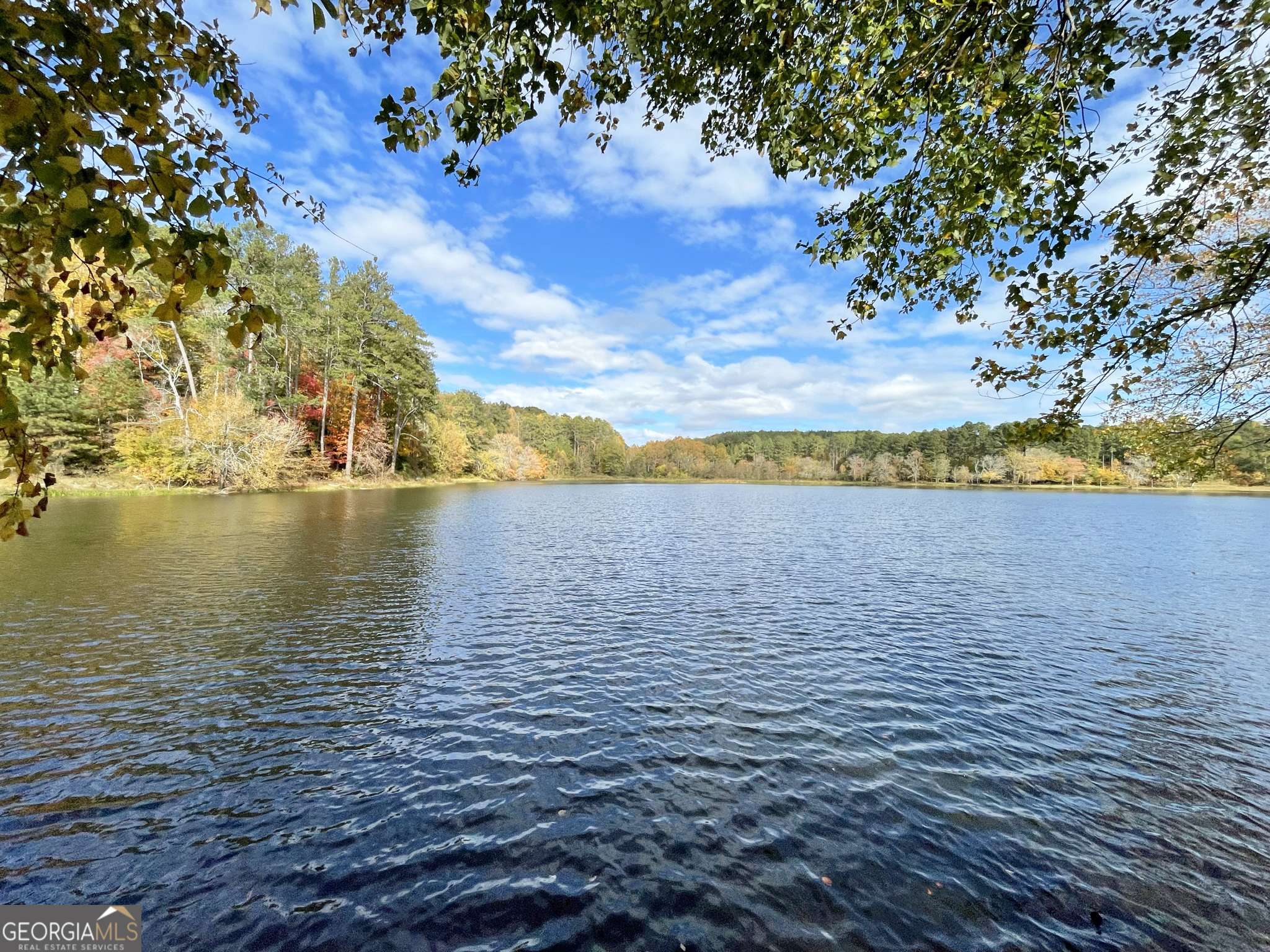 Marble Hill, GA 30148,TRACT 16 Cove Lake DR