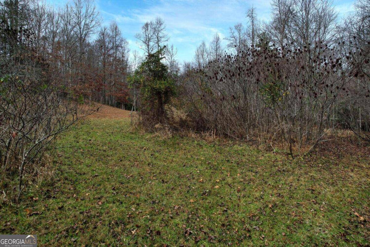 Blairsville, GA 30512,LOT 32 Ivy Log EST