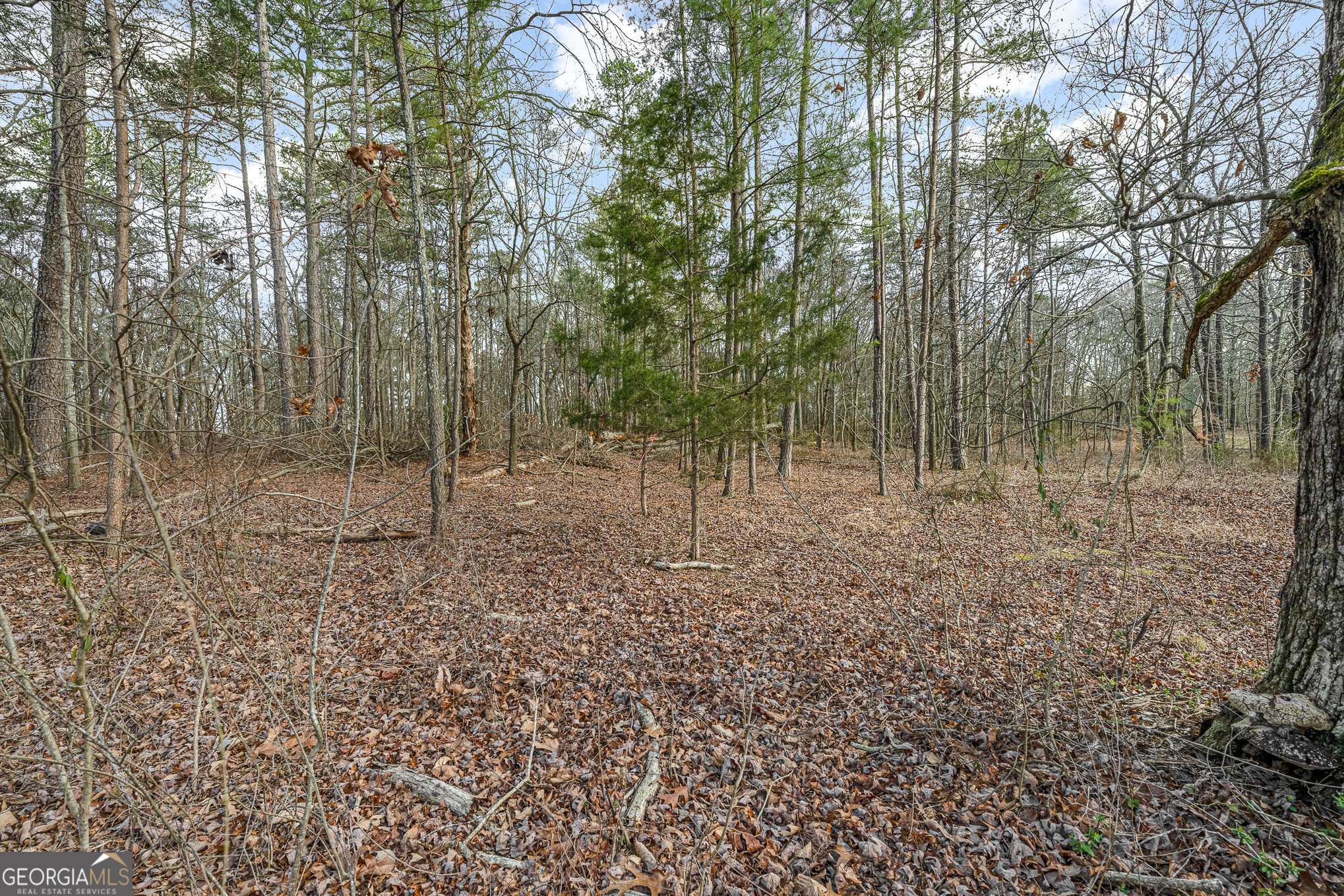 Hartwell, GA 30643,0 Winding WAY