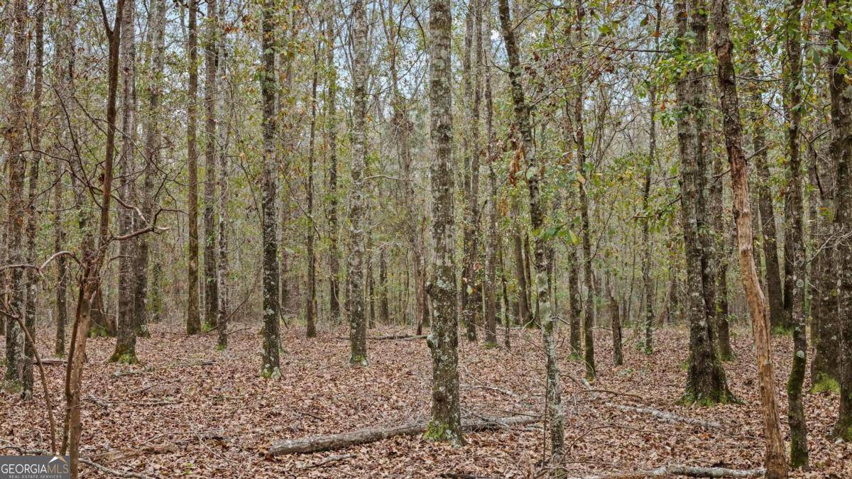 Ellaville, GA 31806,0 Tract 1 Hunter RD