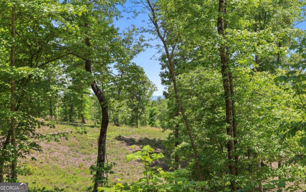 Blue Ridge, GA 30513,LOT 27,28 B Haven WAY