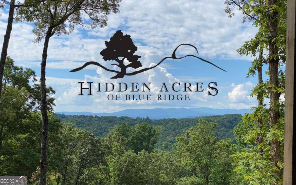 Blue Ridge, GA 30513,LT 15 Hidden Acres