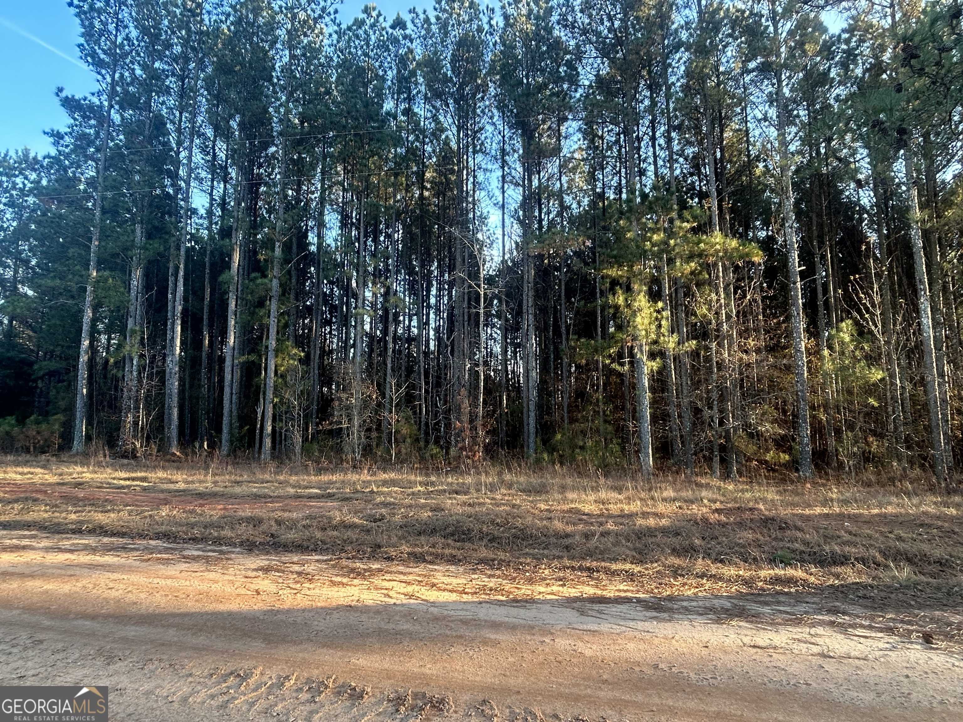 Rayle, GA 30660,0 Kidd RD