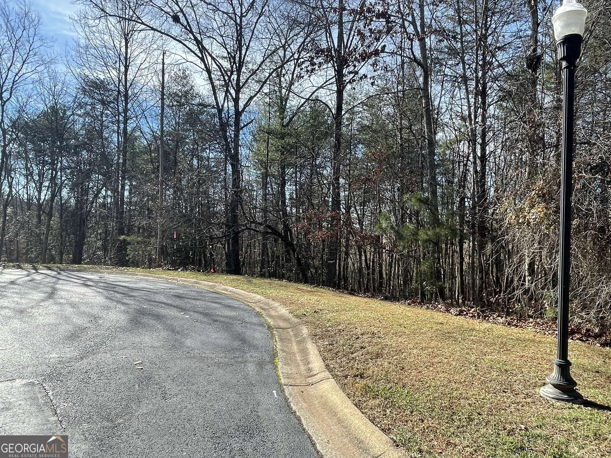 Clarkesville, GA 30523,LOT 16 Shoals WAY