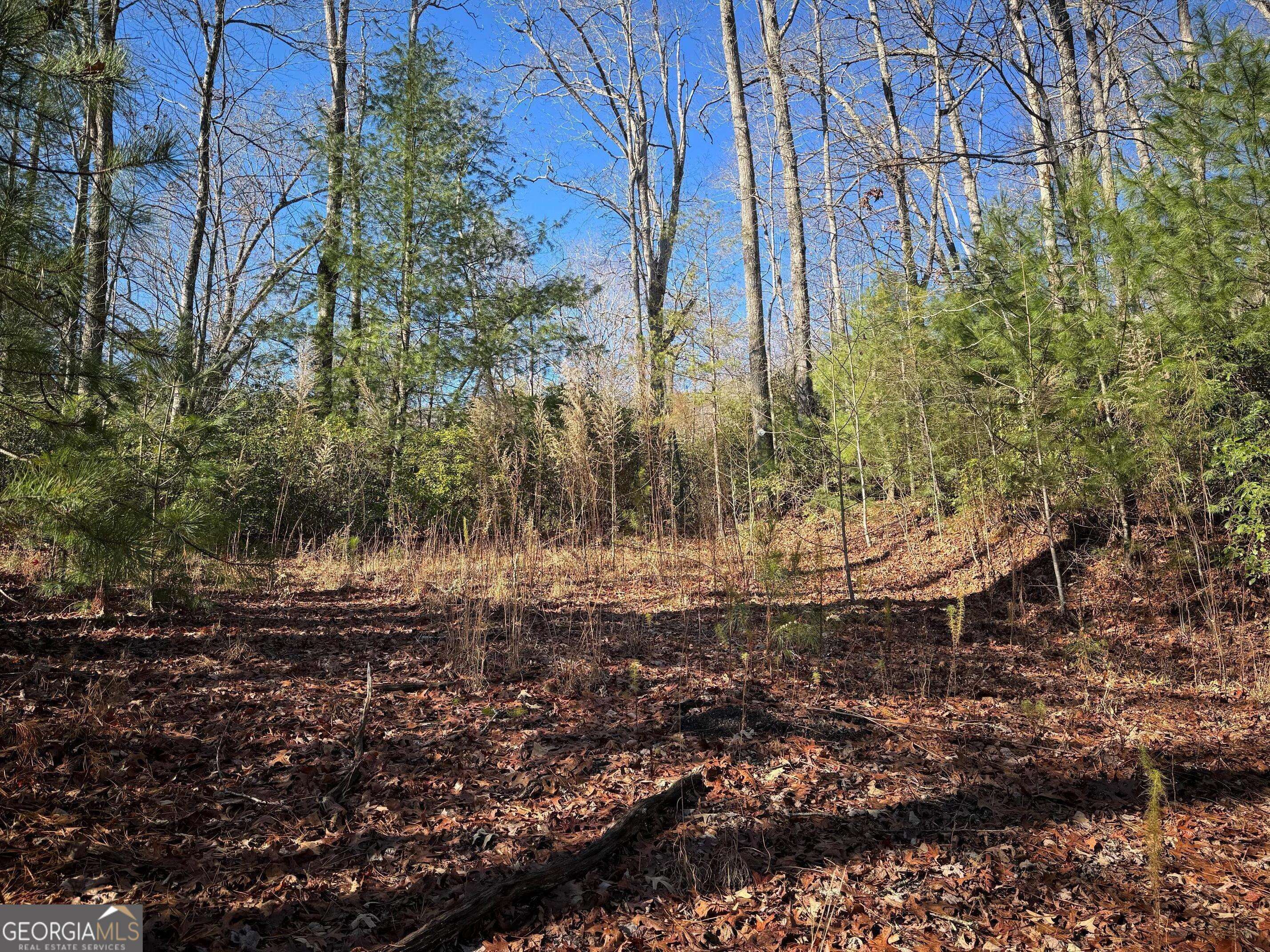 Hiawassee, GA 30546,LOT 33 Whisper Woods