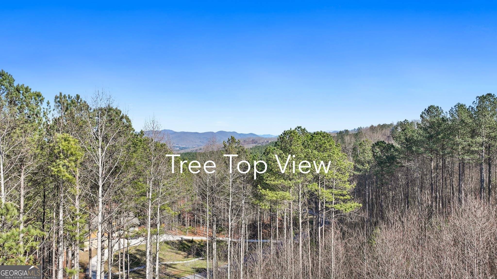 Blairsville, GA 30512,LOT 54 Thirteen Hundred