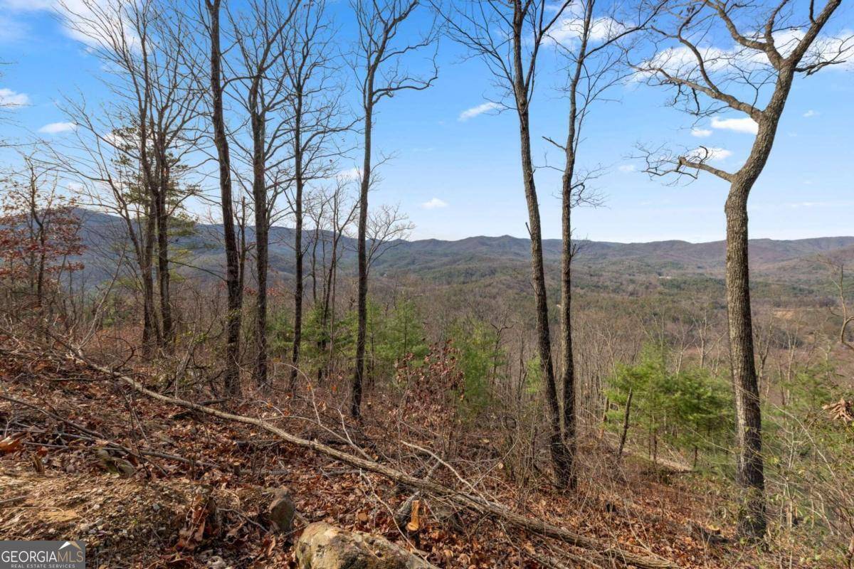 Blue Ridge, GA 30513,LT 32 Mount Pisgah