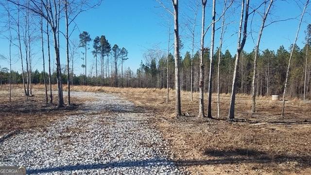 Tignall, GA 30668,0000 Broad RD