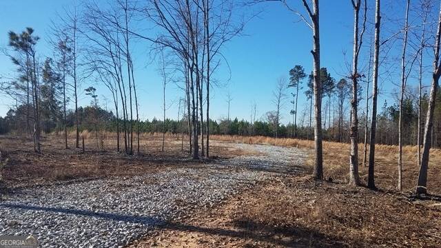 Tignall, GA 30668,0000 Broad RD