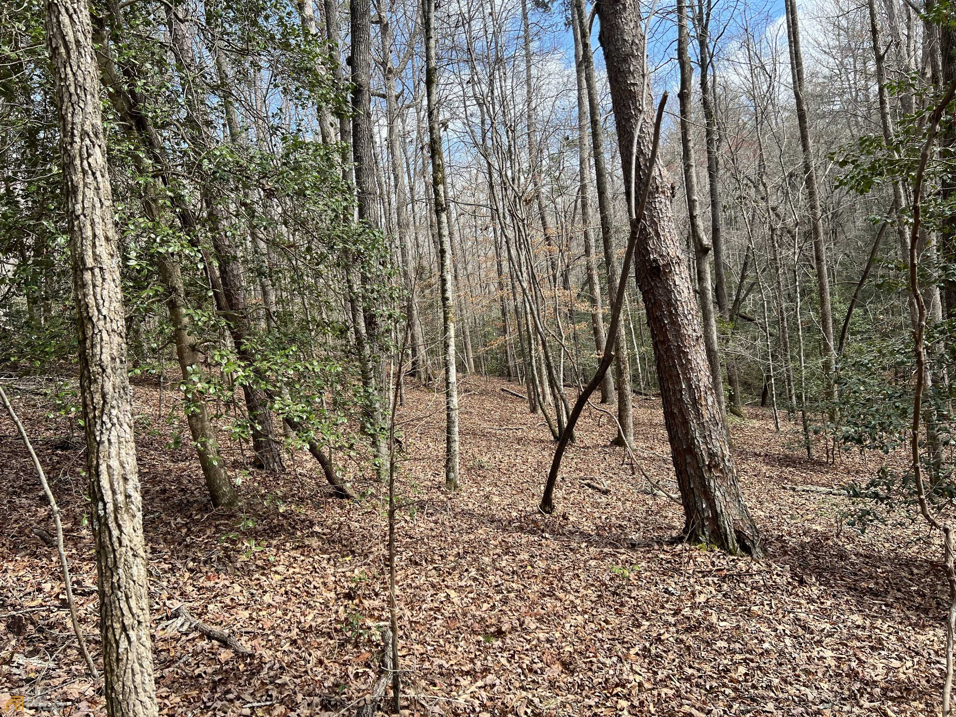 Demorest, GA 30535,0 Chattahoochee Winds DR #LOT 27