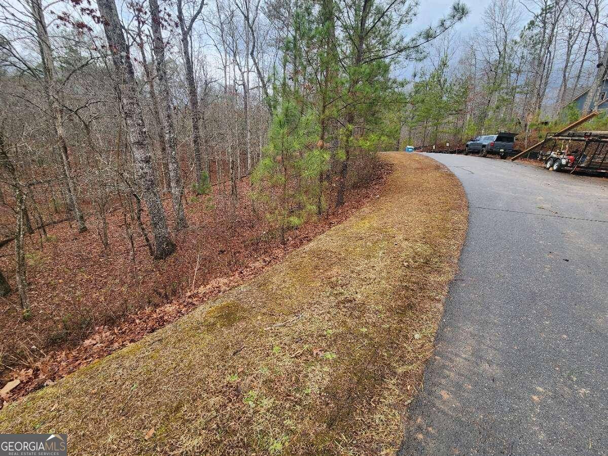 Ellijay, GA 30540,LOT 9 Harris Creek DR