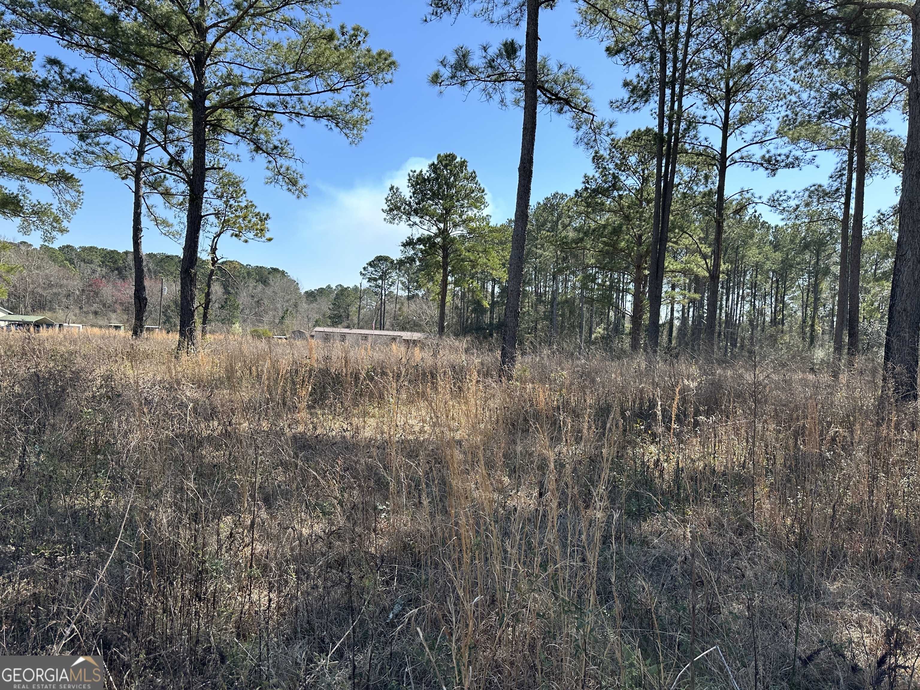 Cairo, GA 39828,0 Johnson RD #1.55 ACRES