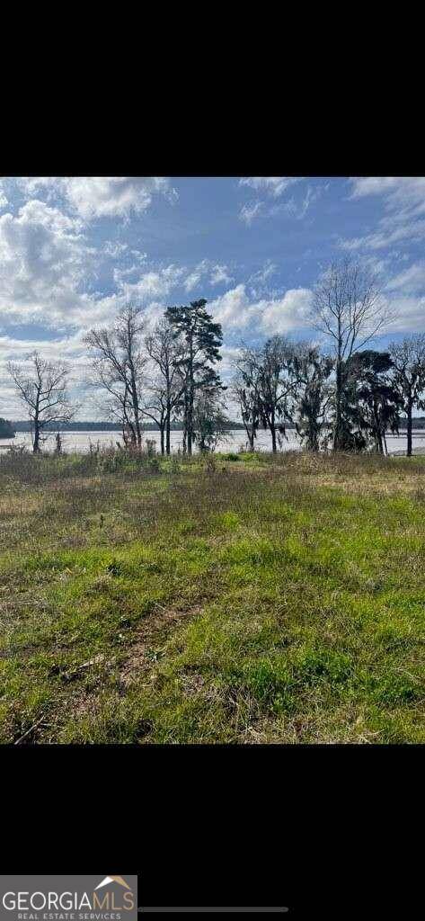 Cordele, GA 31015,TBD Flintview Drive- Lot 9