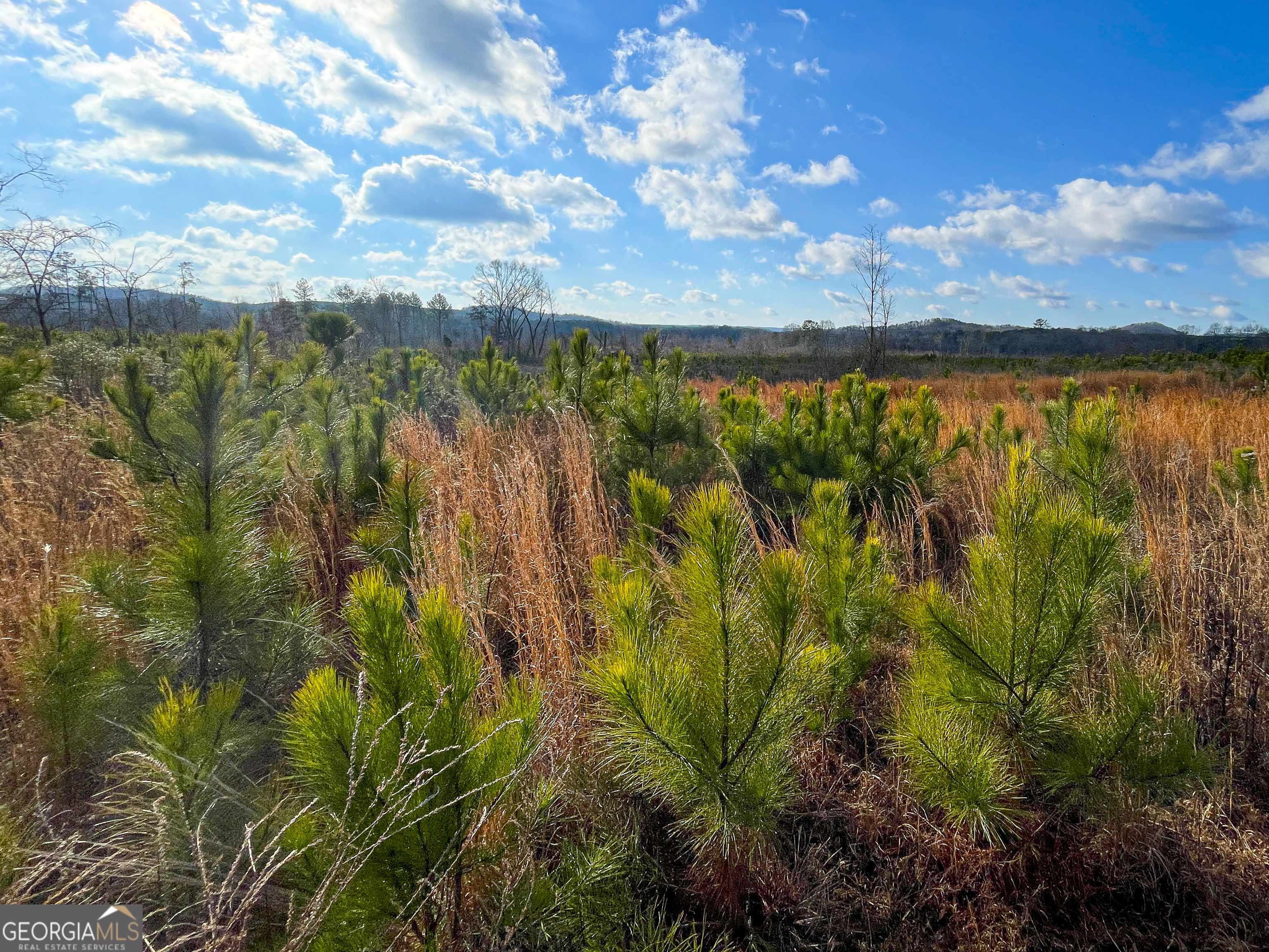 Cedartown, GA 30125,142 Acres on Judkin Mill RD