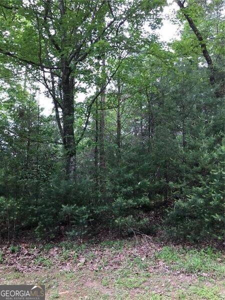 Suches, GA 30572,LOT 1 Poplar