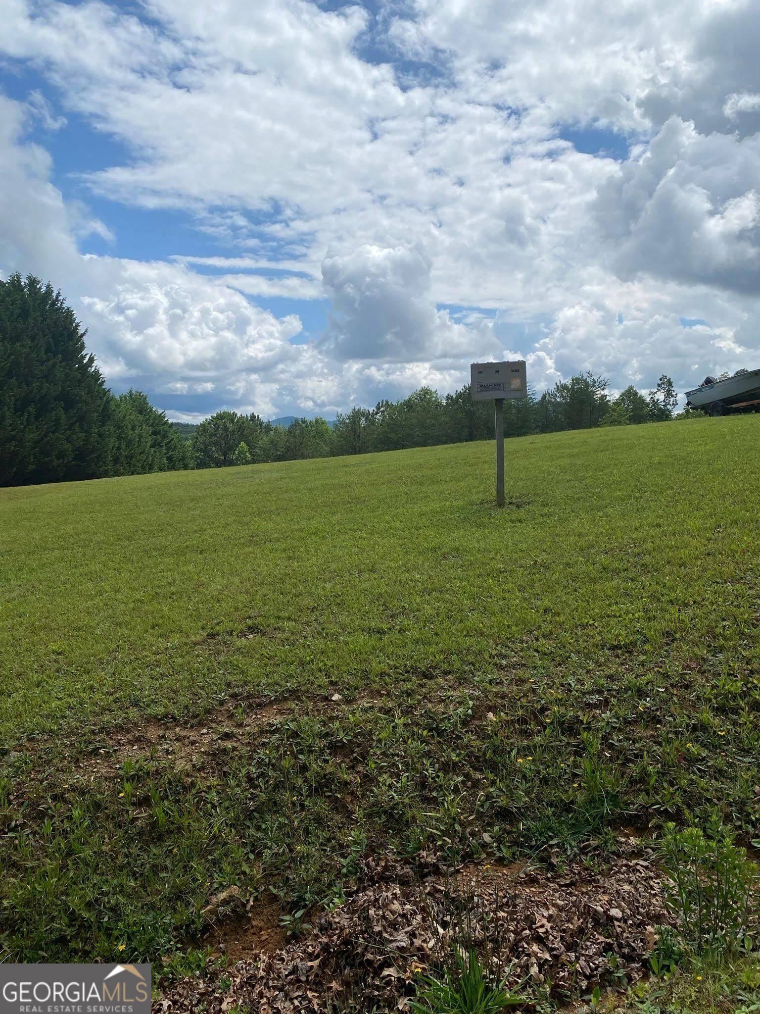 Mineral Bluff, GA 30559,0 Twin Peaks Dr