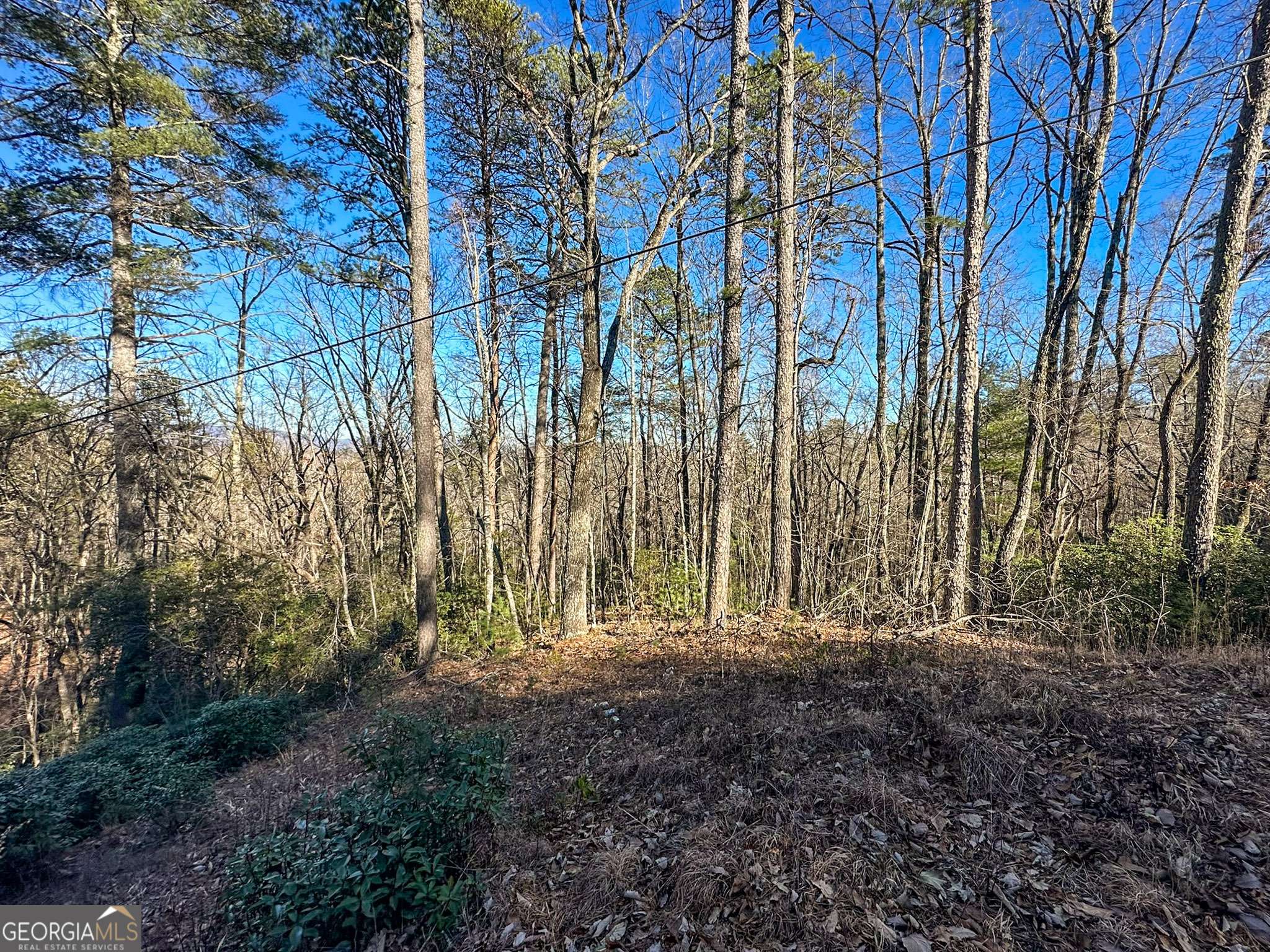 Tiger, GA 30576,0 Saga Mountain RD #LOT 6