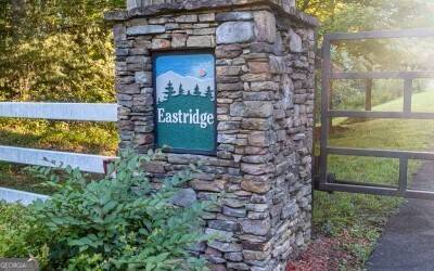 Ellijay, GA 30540,LOT  22 E Ridge LN