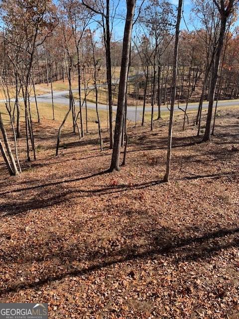 Ellijay, GA 30540,LOT #6 S Jakes Landing WAY