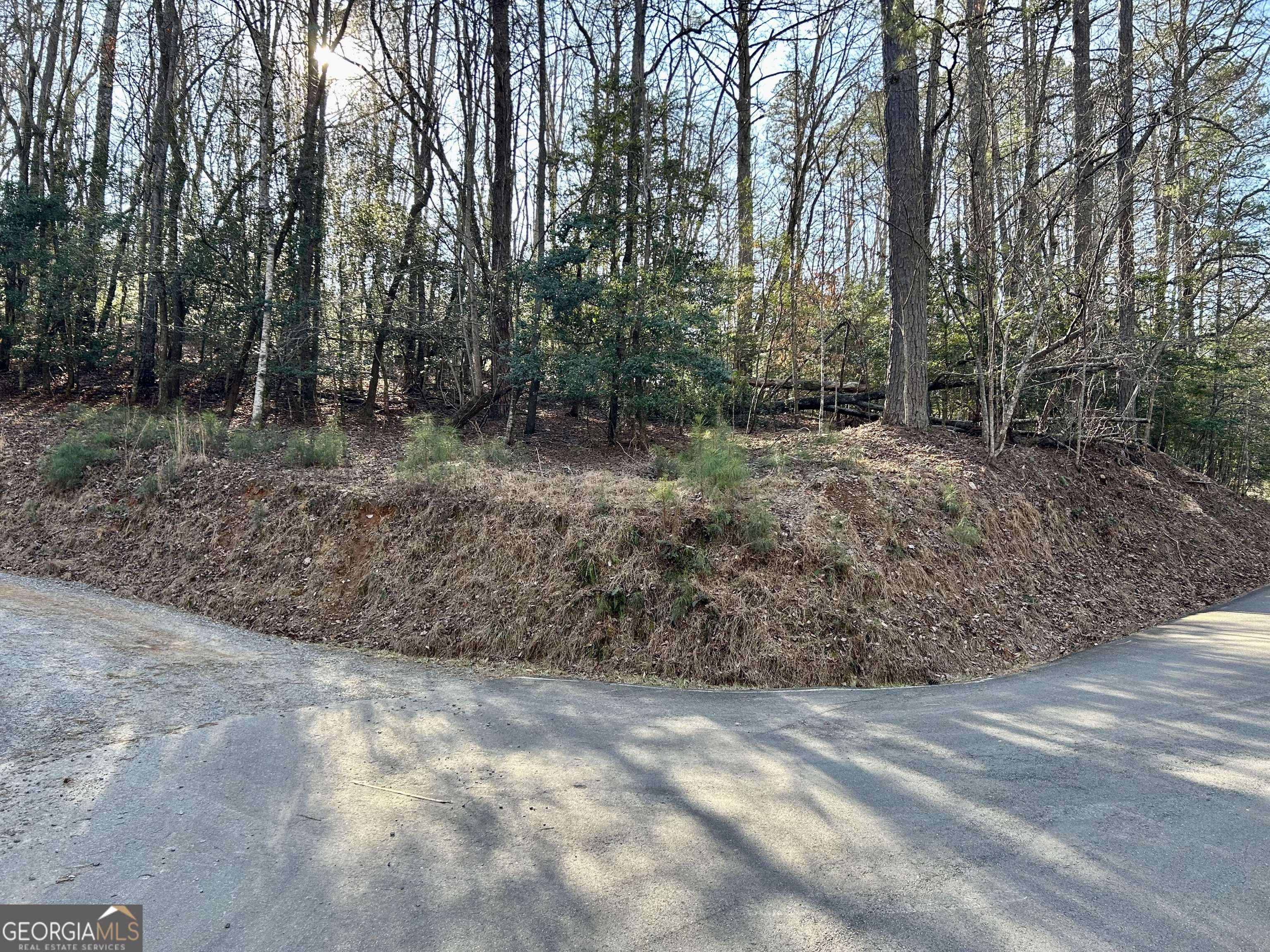 Ellijay, GA 30540,LOT 932 Matrix LN