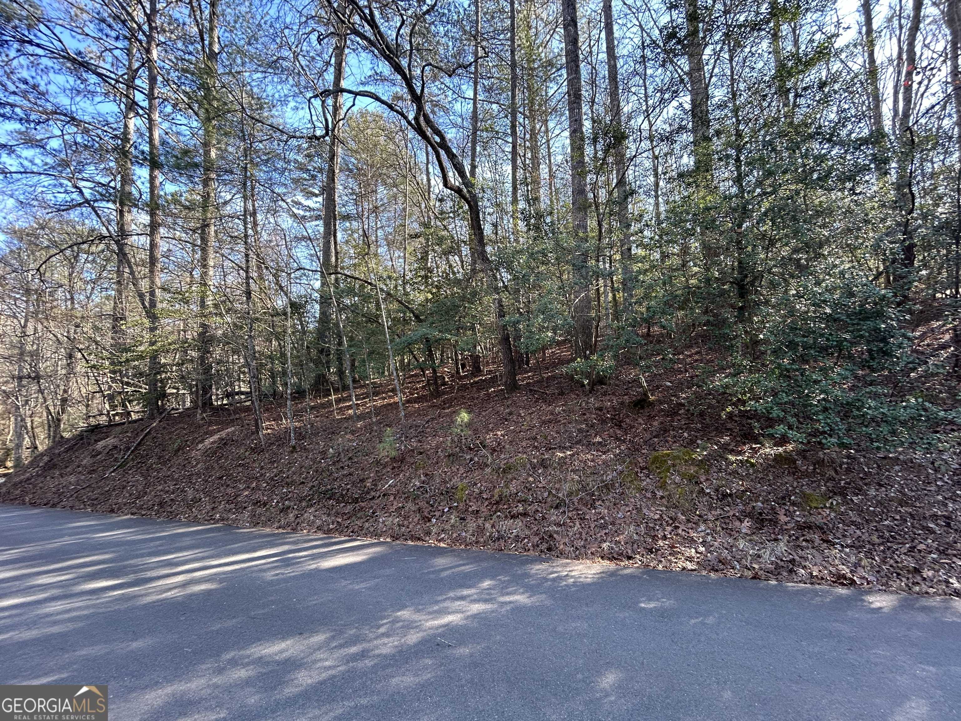 Ellijay, GA 30540,LOT 932 Matrix LN