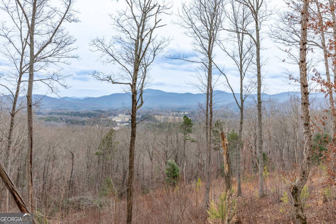 Blairsville, GA 30512,LOT 133 Blackburn WAY