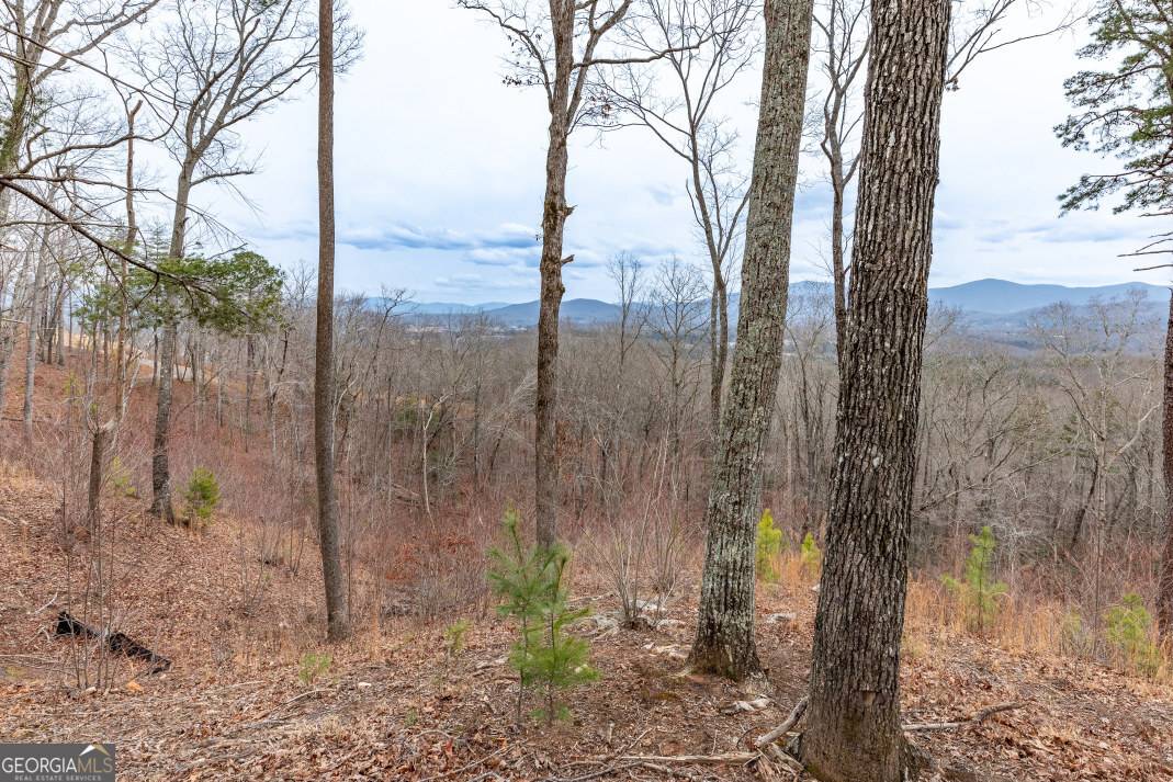 Blairsville, GA 30512,LOT 133 Blackburn WAY