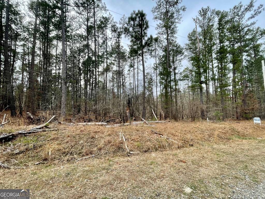 Sparta, GA 31087,LOT 29/30 SE Zinnia RD #29/30