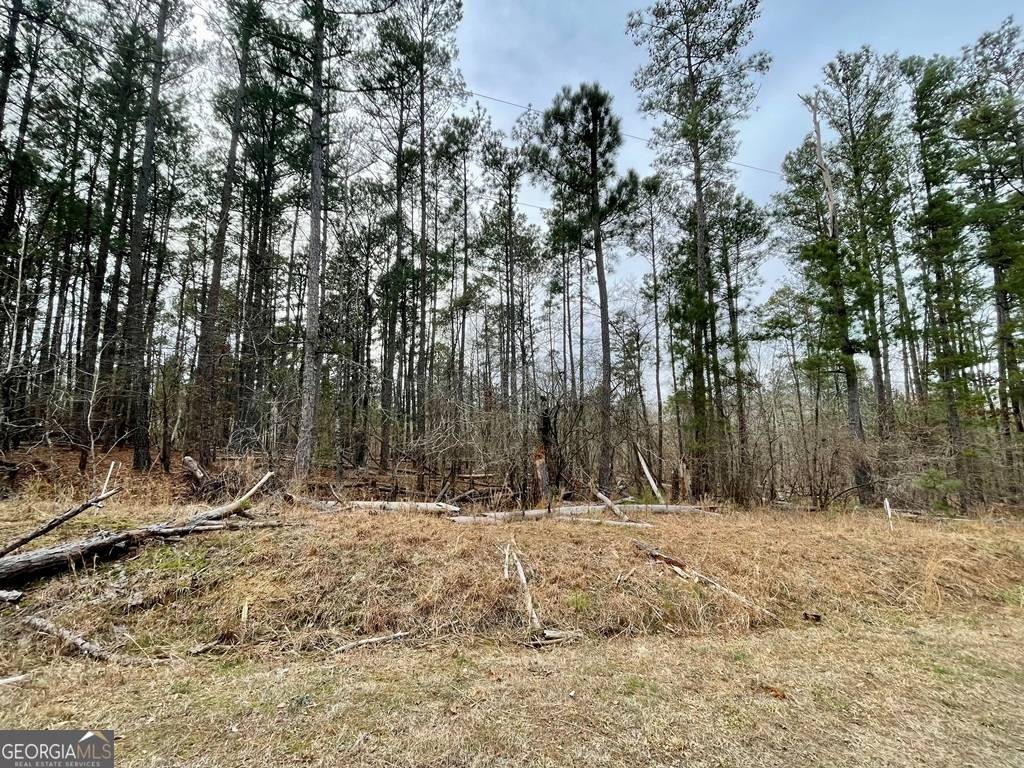 Sparta, GA 31087,LOT 29/30 SE Zinnia RD #29/30