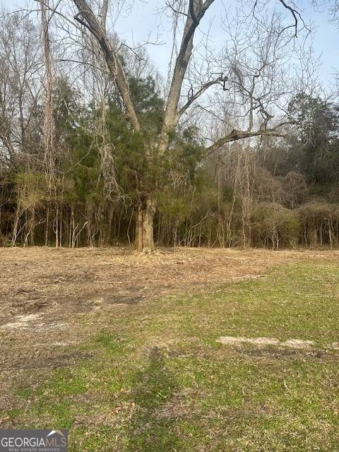 Milner, GA 30257,0 Main ST #LOT #1