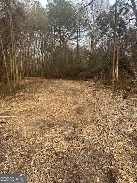 Milner, GA 30257,0 Main ST #LOT #1