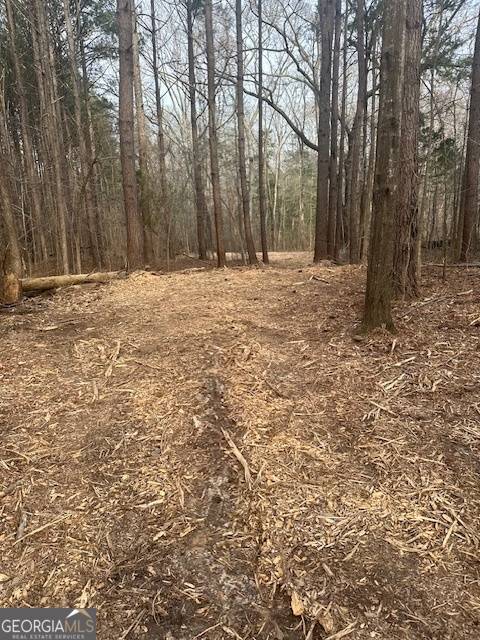 Milner, GA 30257,0 Main ST #LOT #1