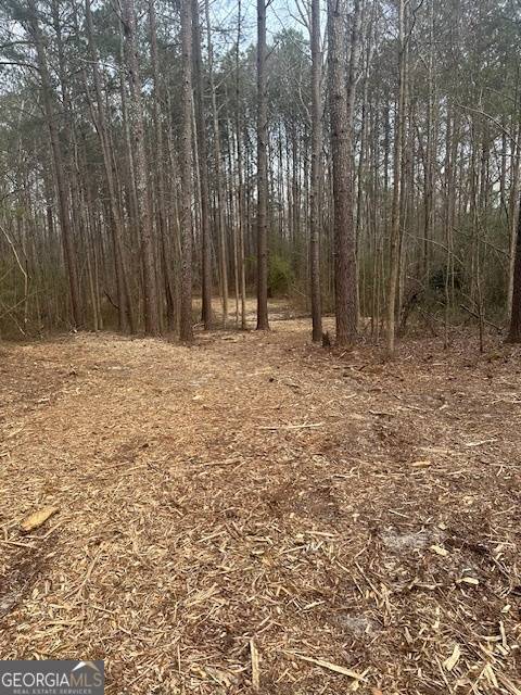 Milner, GA 30257,0 Main ST #LOT#2