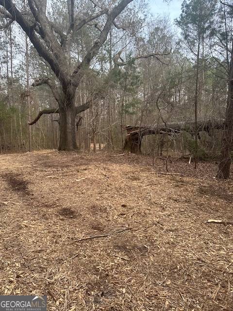 Milner, GA 30257,0 Main ST #LOT#2