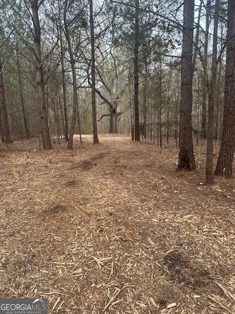 Milner, GA 30257,0 Main ST #LOT#2