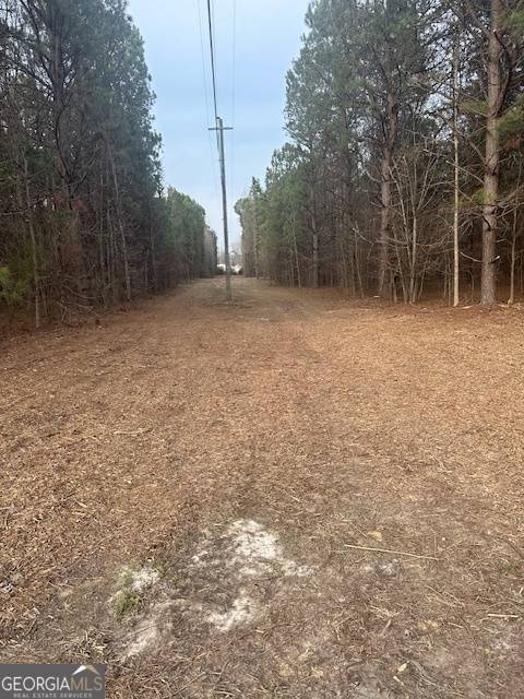 Milner, GA 30257,0 Main ST #LOT#2