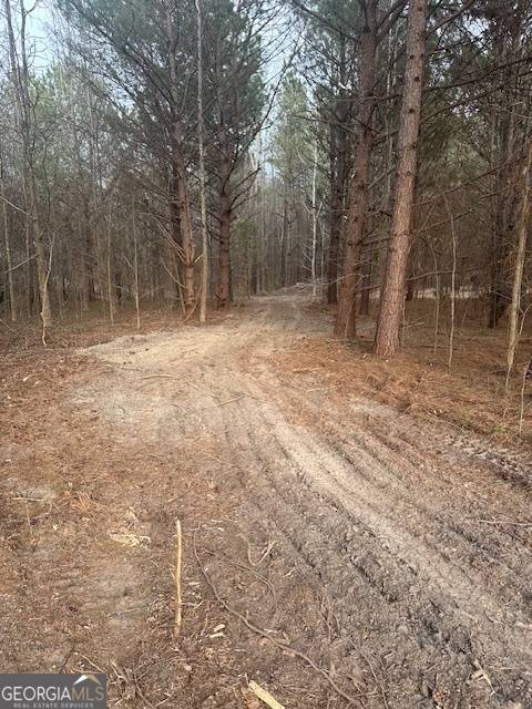 Milner, GA 30257,0 Main ST #LOT #4