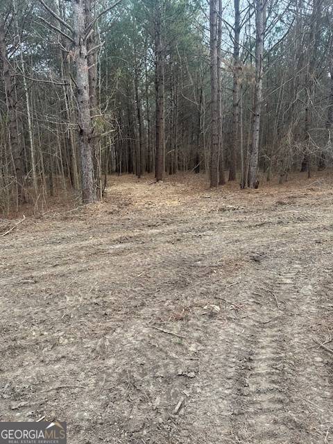 Milner, GA 30257,0 Main ST #LOT #4